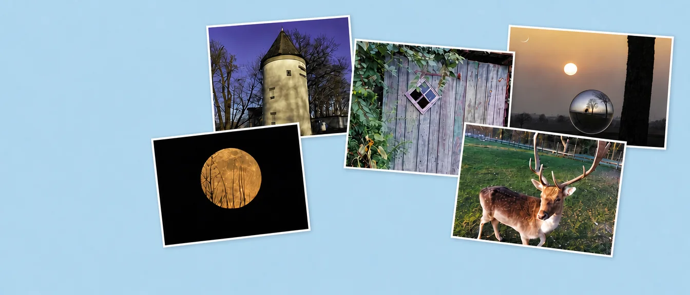 Fünf Fotoabzüge nebeneinander: der Schlossturm in der Dämmerung, eine bewachsene Bretterwand, Sonnenuntergang über den Feldern, Vollmond und ein Damhirsch auf der Wiese